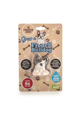 Grow French Bulldog