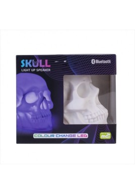 Light Up Skull Speaker