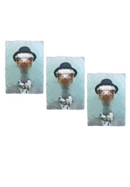 Set of 3 Zoo Portraits Microfiber Tea Towels Ostrich 67 x 45 cm